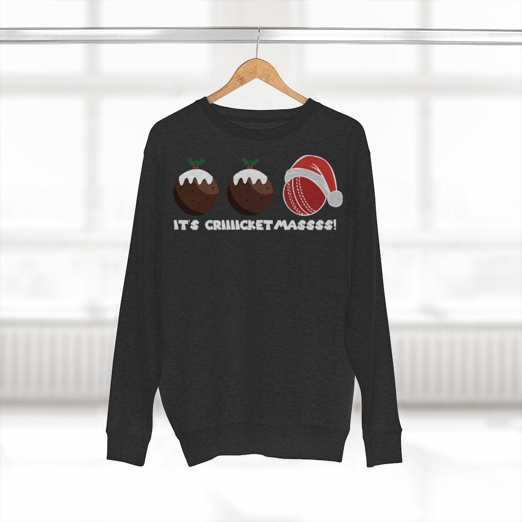 Cricket Ball Christmas Pudding Jumper