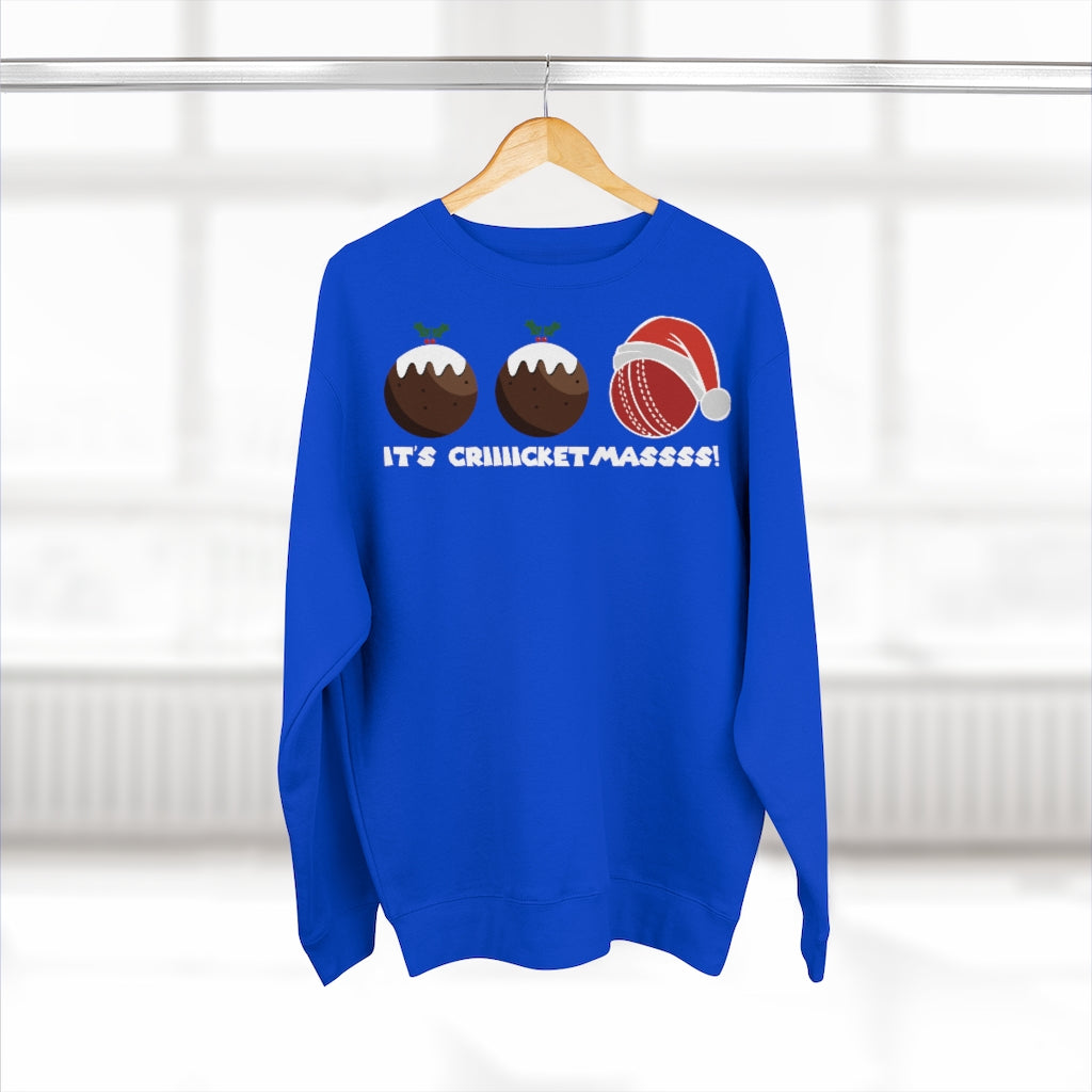 Cricket Ball Christmas Pudding Jumper