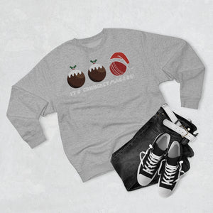 Cricket Ball Christmas Pudding Jumper