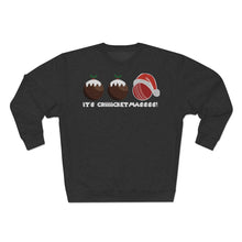 Load image into Gallery viewer, Cricket Ball Christmas Pudding Jumper
