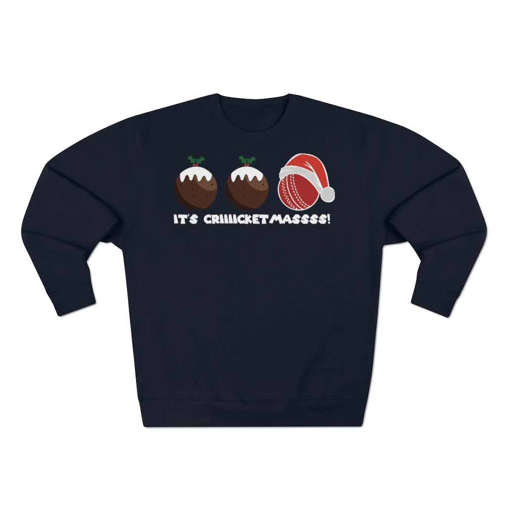 Cricket Ball Christmas Pudding Jumper