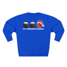 Load image into Gallery viewer, Cricket Ball Christmas Pudding Jumper
